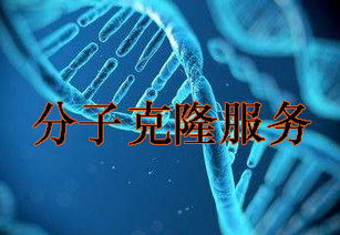 技術(shù)服務(wù)行業(yè)資訊 創(chuàng)新驅(qū)動與市場趨勢